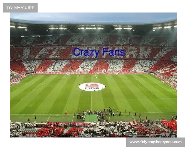 探索拜仁慕尼黑安联球场的独特魅力与辉煌历史之旅 探索拜仁慕尼黑安联球场的独特魅力与辉煌历史之旅