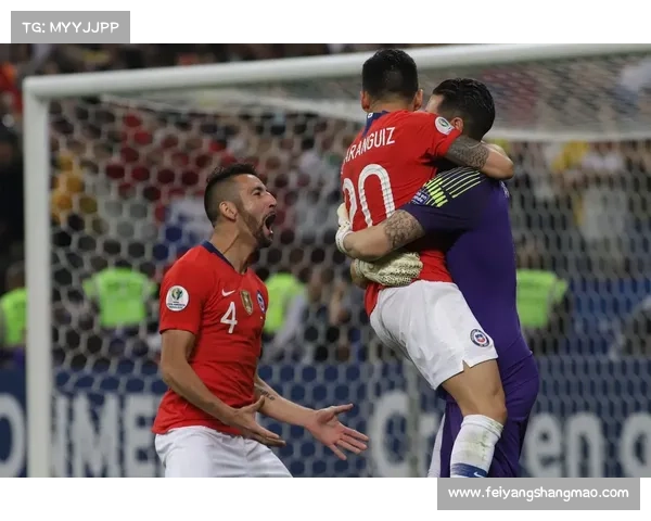 揭秘2019美洲杯冠军之路中的关键因素