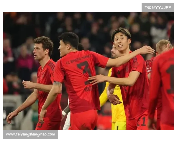 揭秘拜仁体育场真正名字及其背后不为人知的命名故事 揭秘拜仁体育场真正名字及其背后不为人知的命名故事