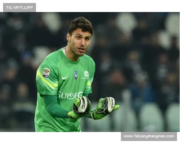 波尔蒂足球俱乐部的历史昵称与其他知名称呼汇总分析