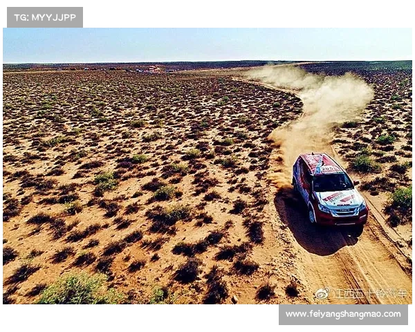 奋勇拼搏 不畏艰难 坚守职业精神的运动员心路历程与成长故事