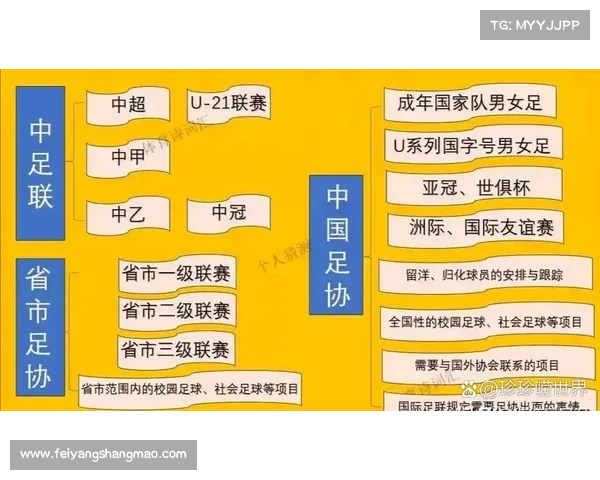 如何解读中国足协职联会议决定对中国足球未来发展的深远影响